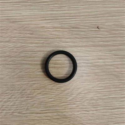 O-Ring 316144 P
